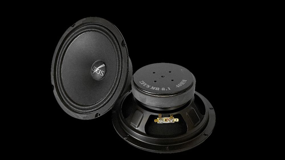 MOMO 20см эстрадные динамики. Новые