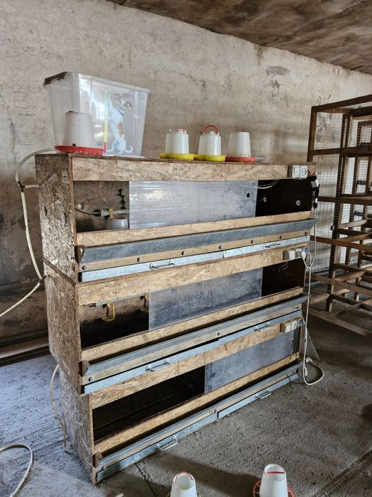 Инкубатор для яиц