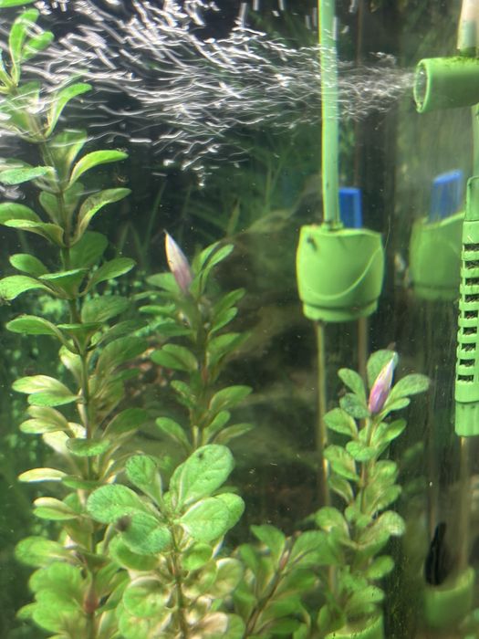 Аквариум большой на 60 литров