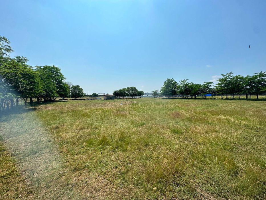Teren intravilan 5.000 mp | Front 50m | Zonă mixtă M2p – Ancora, Constanța | Direct proprietar