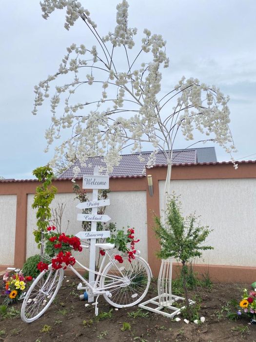 Aranjamente si decoratiuni