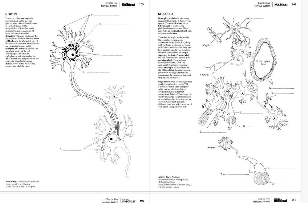 (10GB) Materiale admitere medicină 2025