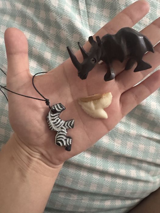 Веслоухлый шотланец