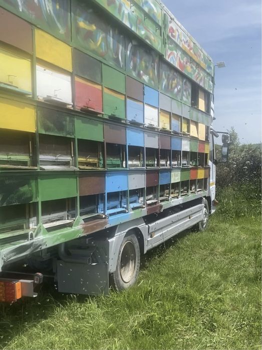 Mercedes Atego 815 Omologat Apicol