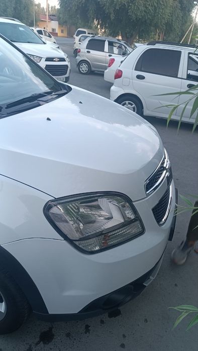 Orlando 2pazitsa lyuki bor