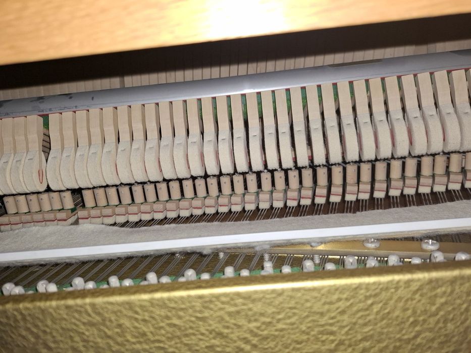 Пиано Rippen с гаранция и собствен лизинг