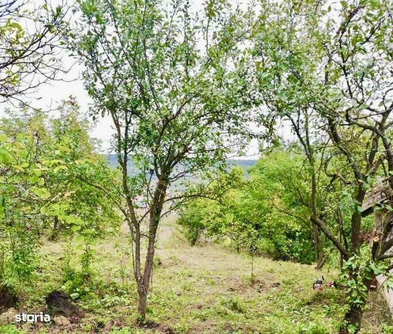 Teren intravilan CONSTRUCTII | 1050mp | Dambul Rotund | Str. Odobesti