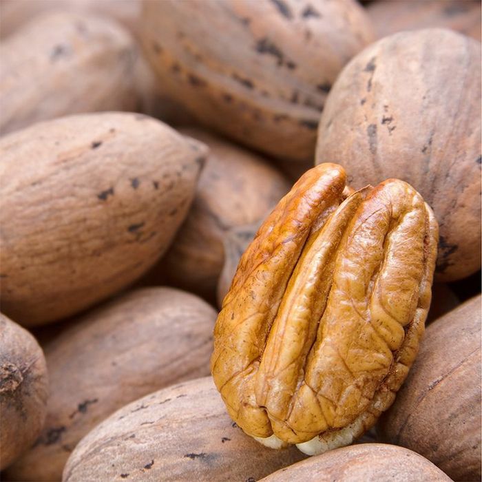 Pomi Fructiferi deosebiti  nuc pecan soiul avalon