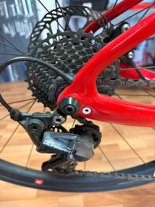 Cursiera Tifosi Auriga