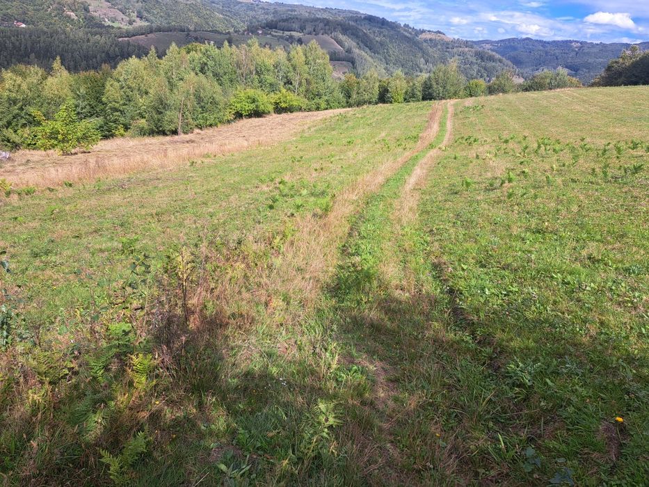 Vand teren la munte in Bulz