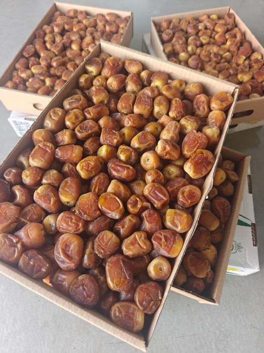 Финики Суккари Медовые