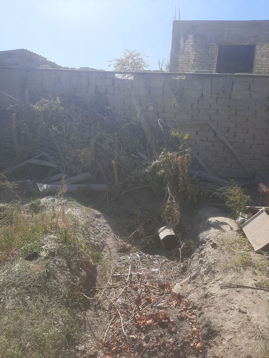 Дрова плодовые орех урюк алыча