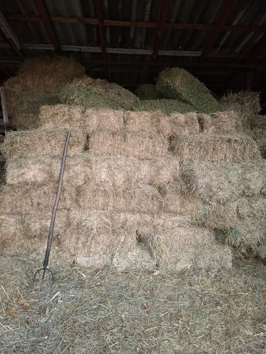 Vând baloti de lucernă și iarbă