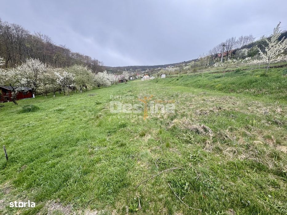 Teren intravilan Deva- Roci