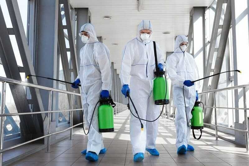 Дезинфекция Ташкент — Клопы, Тараканы | Безопасно, быстро, эффективно
