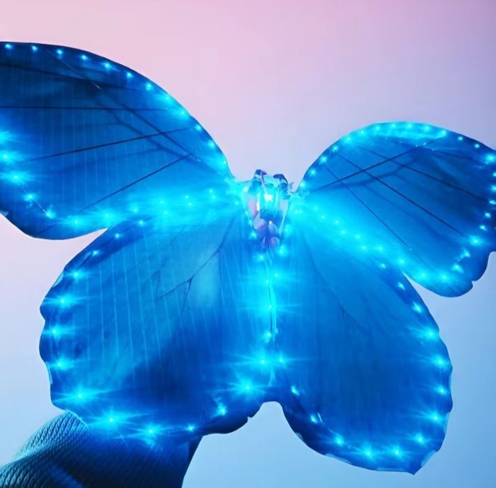 Летающая бабочка