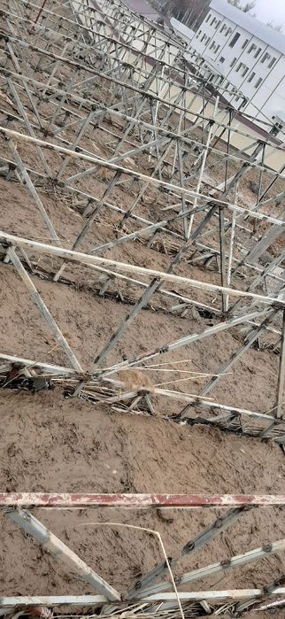 Tom naves tom yopish xizmati