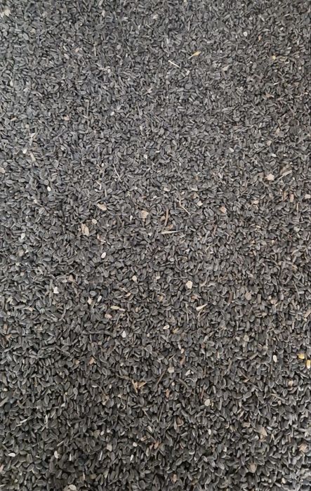 Vand floarea-soarelui