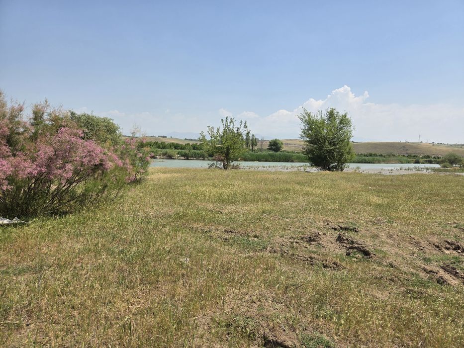 Дача  сотилади 8 сотих