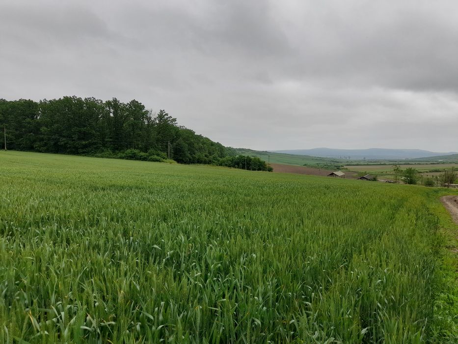 microferma cu 13 ha teren