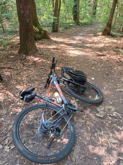 Bicicleta Carpat Wrangler
