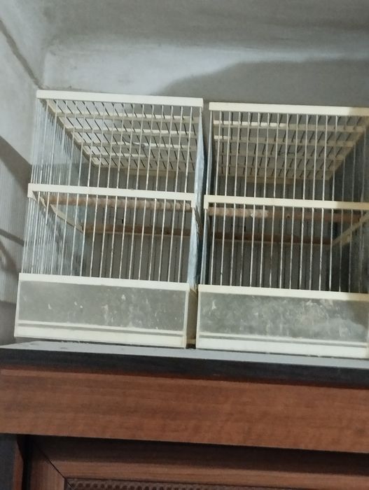 Kanareka qafasi kattasi