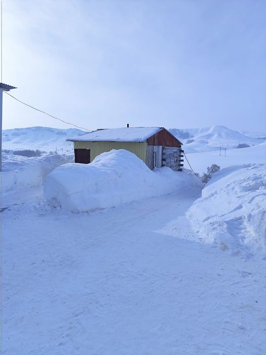 животноводческая база