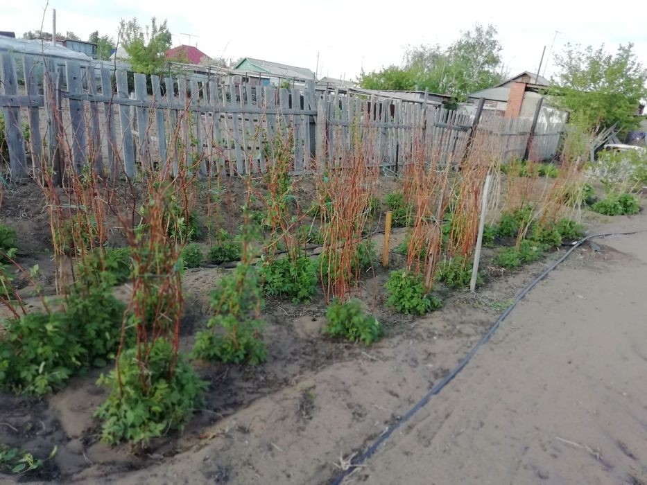 Продам 4-х комнатный дом с. Павлодарское