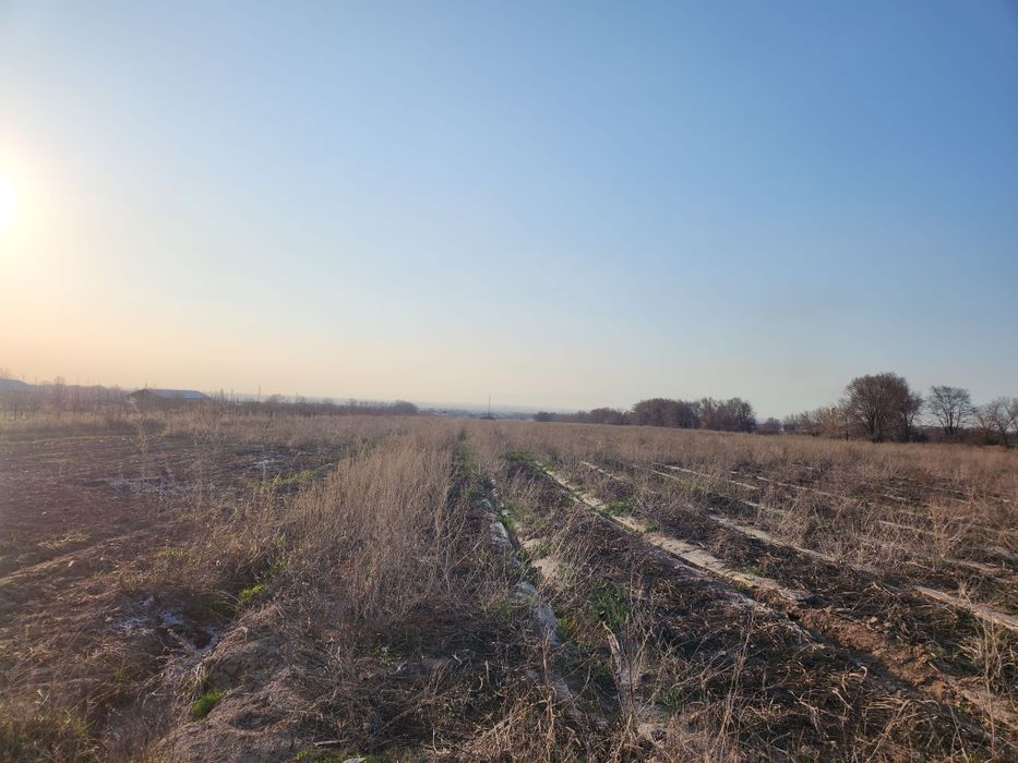 Сдам в аренду участок
