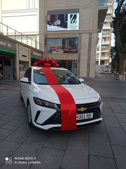 Bantik bant,бантик для машины, Avtobantik Lenta Bantik,