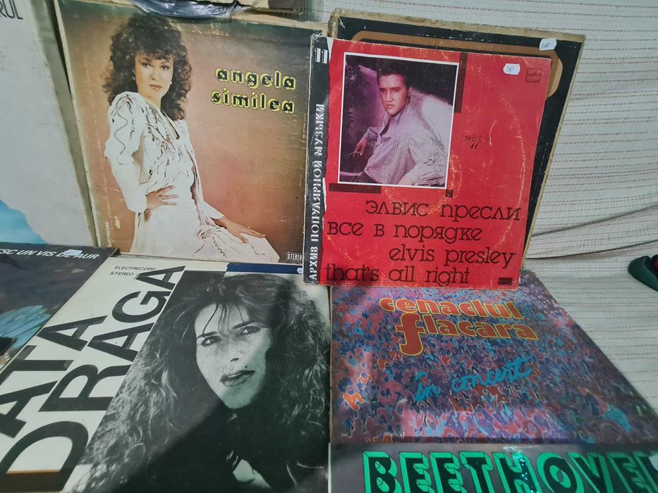 Discuri de vinil