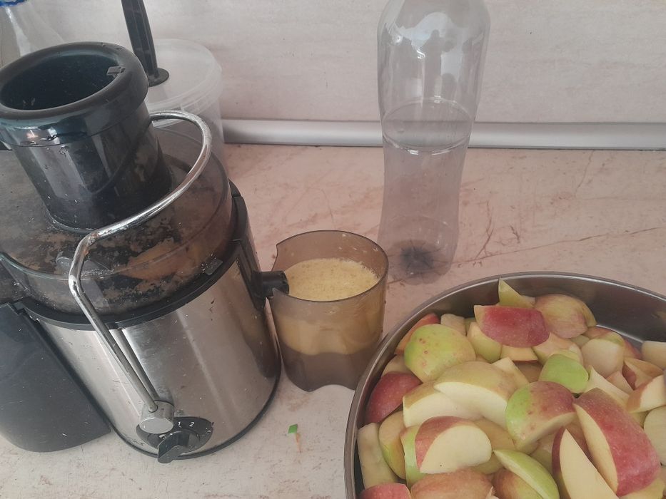 Вкусни ябълки различни видове