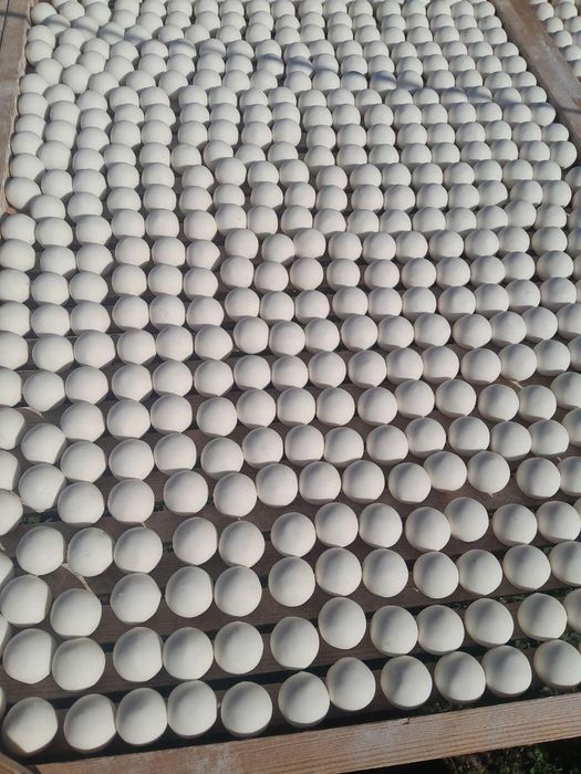 Qurt ishlab chiqaramiz