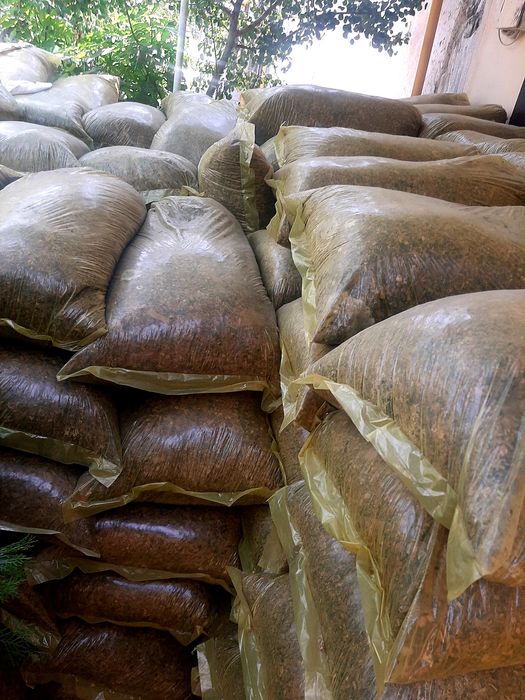 Selos sotiladi narxlari xamyonbop  donli