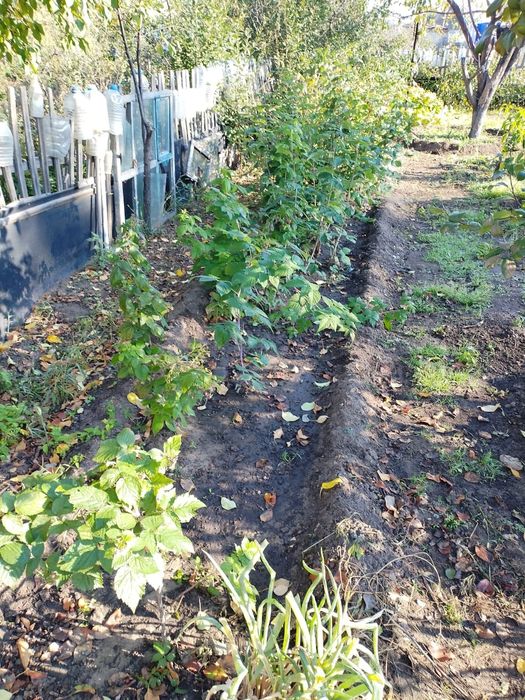 Продам дачу садоводство " яблонька"