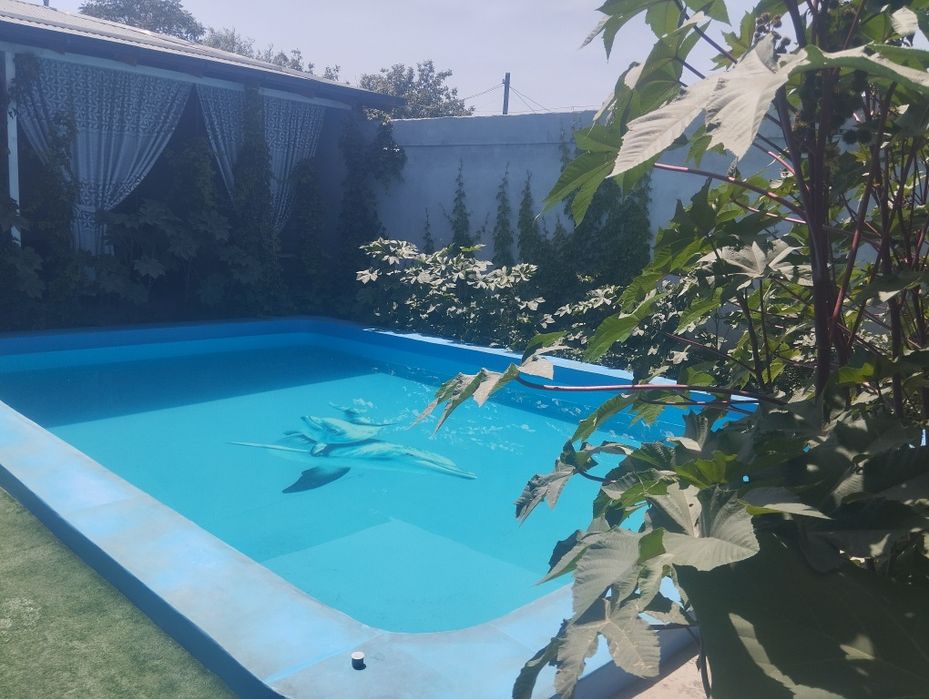Dacha toza havoga ijaraga beriladi
