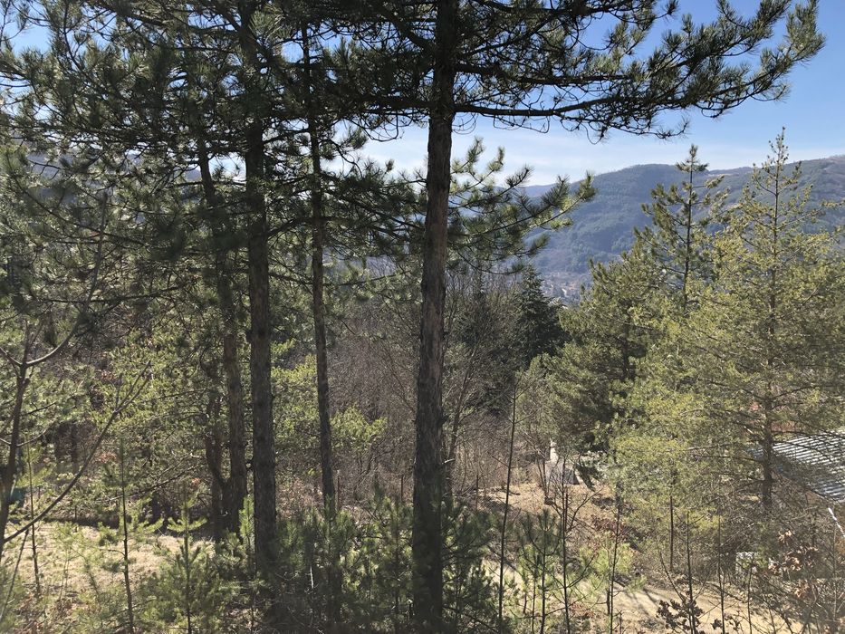 Продава се Парцел в с. Луково, Област София-област - 840 кв.м за 28 €/кв.м - Снимка #7