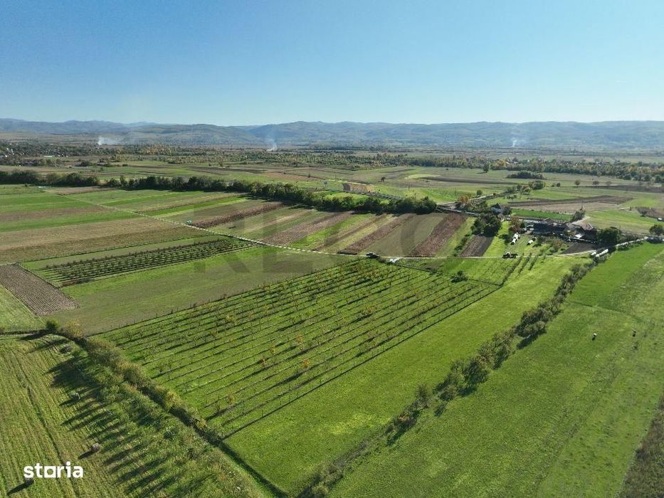 RECO, Teren cu livada de ciresi, Zona Auseu, Bihor