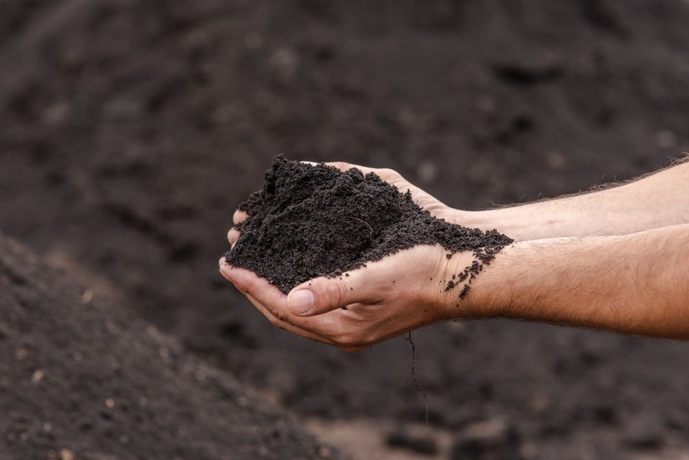 Земля! Земля! Земля!