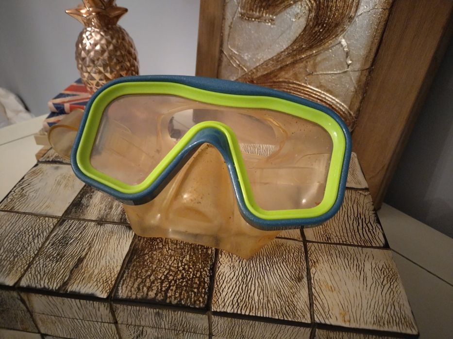 Оригинални професионални очила Спийдо за подводно плуване и гмуркане.