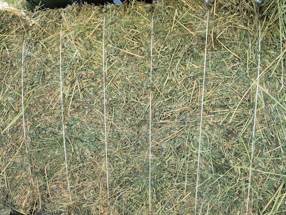 Vând balotii de lucernă 120x120 si la cerere dreptunghiulari de 700kg  coasa 2