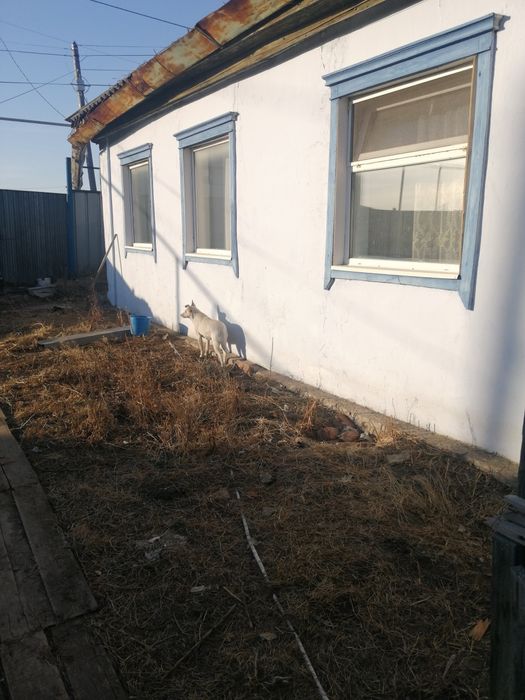 дом 90 кв, Костанай