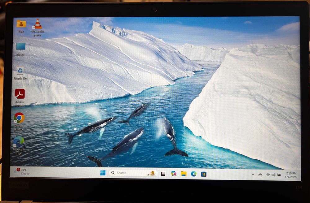 Lenovo ThinkPad T14 gen 1, reconditionat (i5, 16 GB RAM, 256 GB SSD)