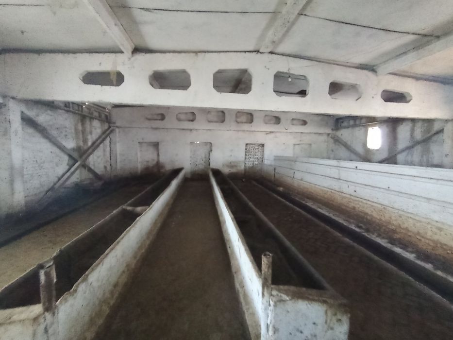 Чорвачилик бино иншоатлари