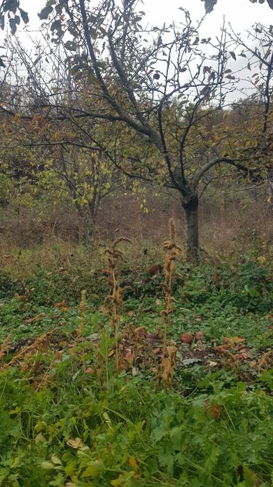 Продава къща в с.Скрино общ.Бобошево