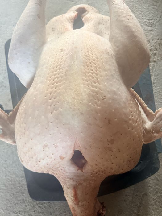 Мясо индейки, свежее