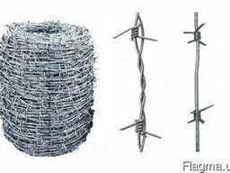Егоза, колючая проволока