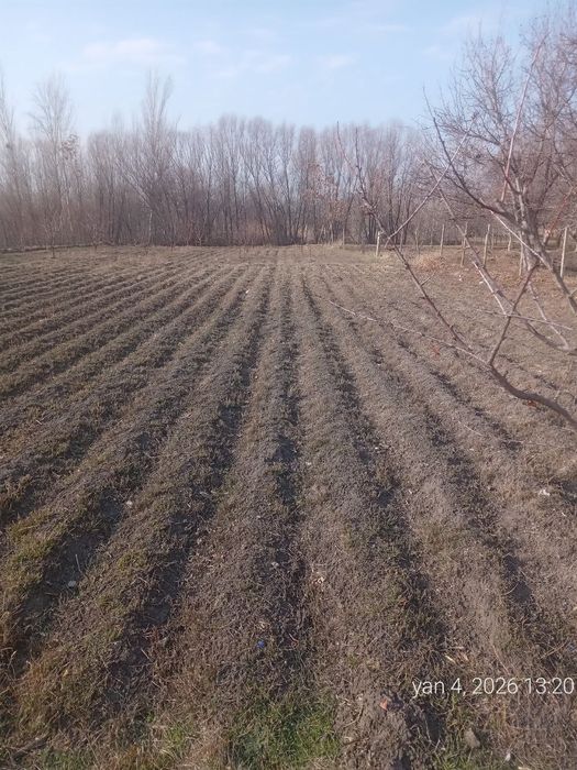 Xitoypoyonda yer sotiladi