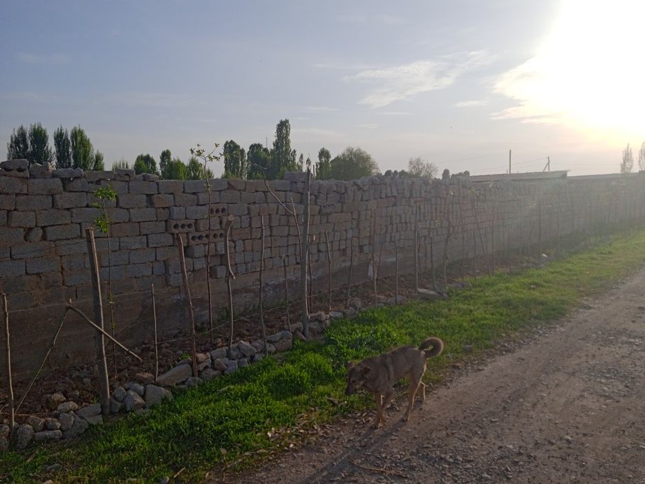 йер сотилади