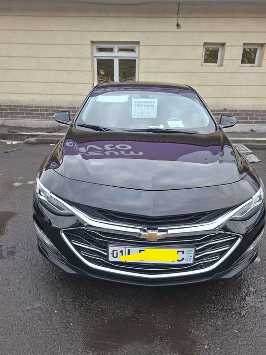 Malibu 2 2021 yil premier